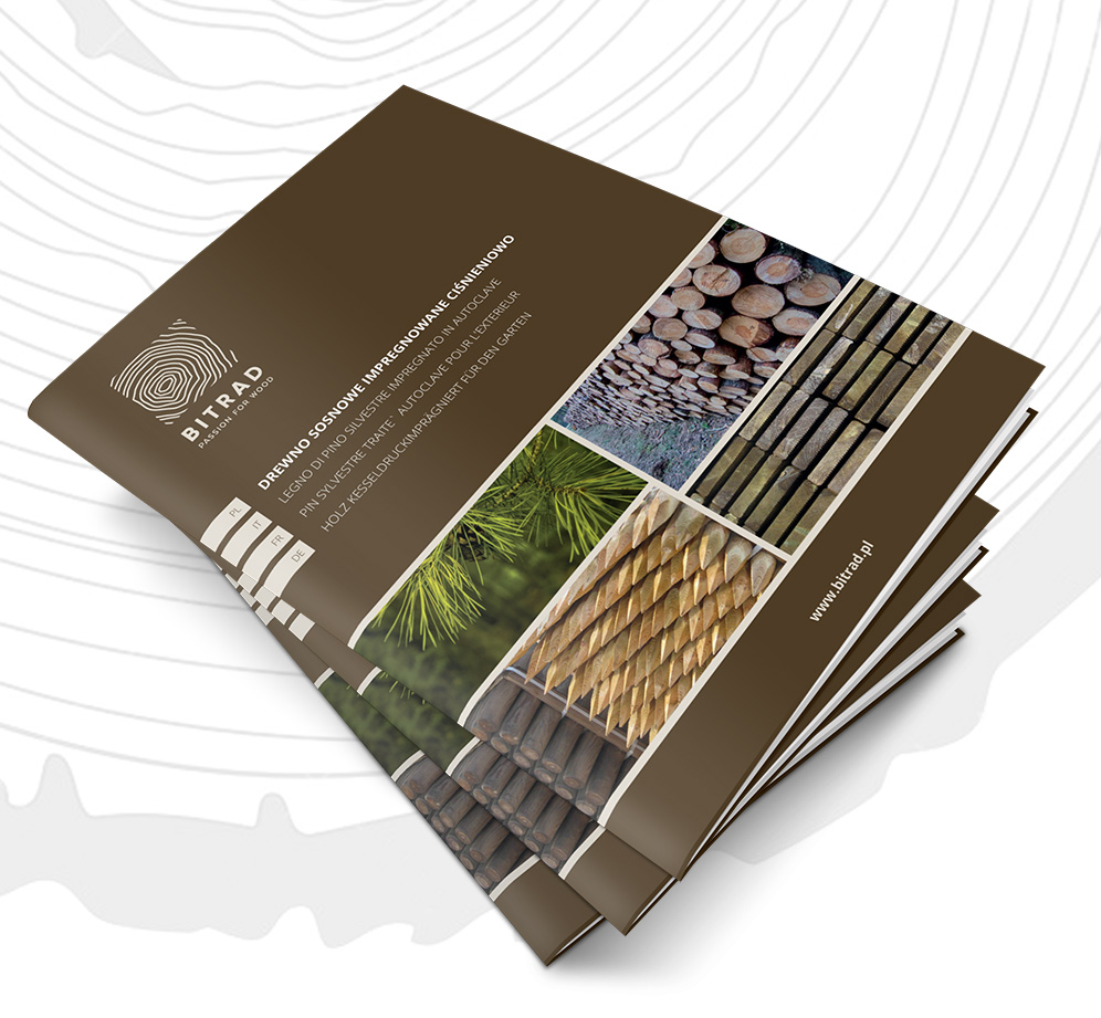 Web Design, Print design ENSICO Portfolio Studio Graficzne ENSICO Radom